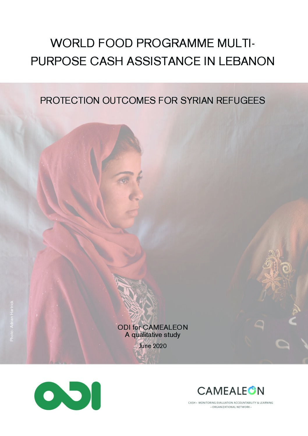 Photo of The Impact of Cash Assistance Programs on Protection Outcomes for Syrian Refugees