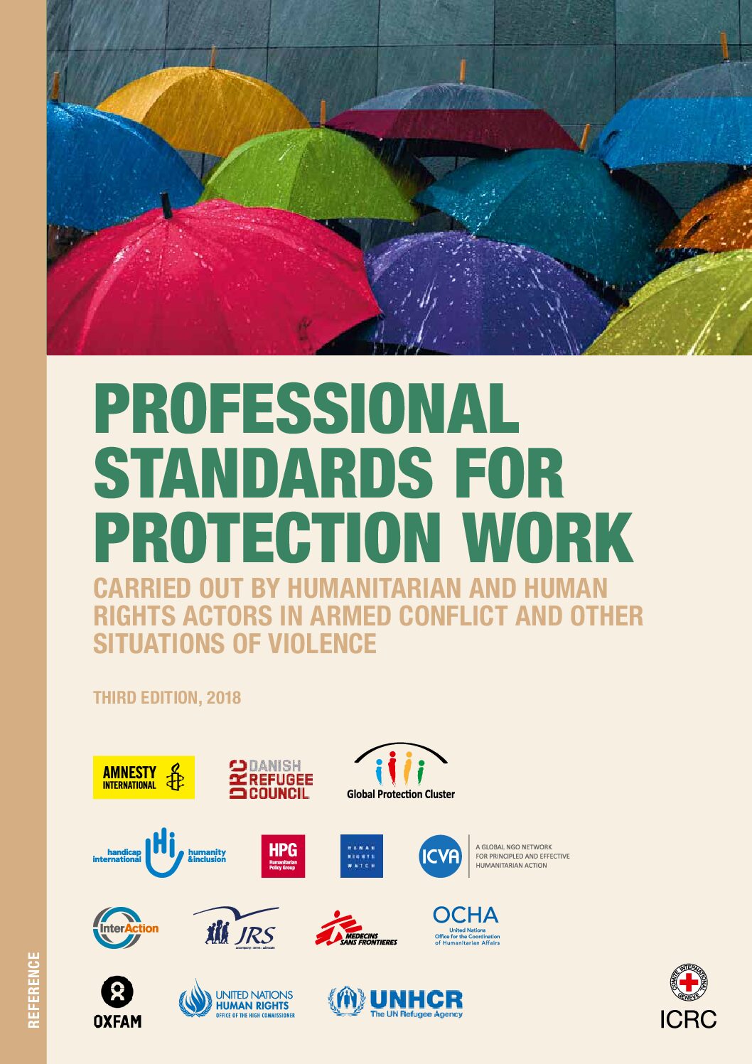 Photo of Professional Standards for Protection Work (3rd Edition)